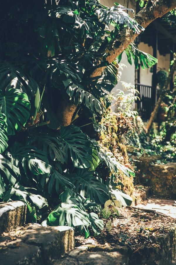 Hotel Hacienda Baza Tibana エクステリア 写真